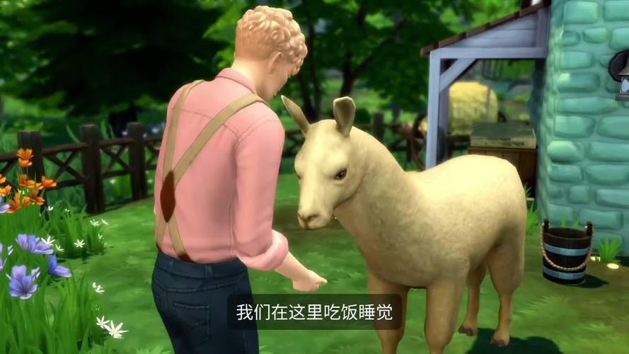 模拟人生4怎么玩乡间生活,模拟人生4怎么玩乡间生活模式