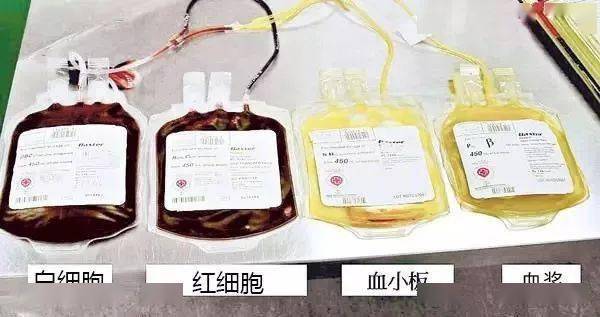 打一针凝血因子多少钱,打凝血因子的不良反应-第7张图片-文史 打一针凝血因子多少钱,打凝血因子的不良反应-第7张图片-文史