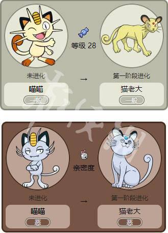 洛克王国怎么超进化喵喵,洛克王国,喵喵超进化-第6张图片-文史 洛克王国怎么超进化喵喵,洛克王国,喵喵超进化-第6张图片-文史