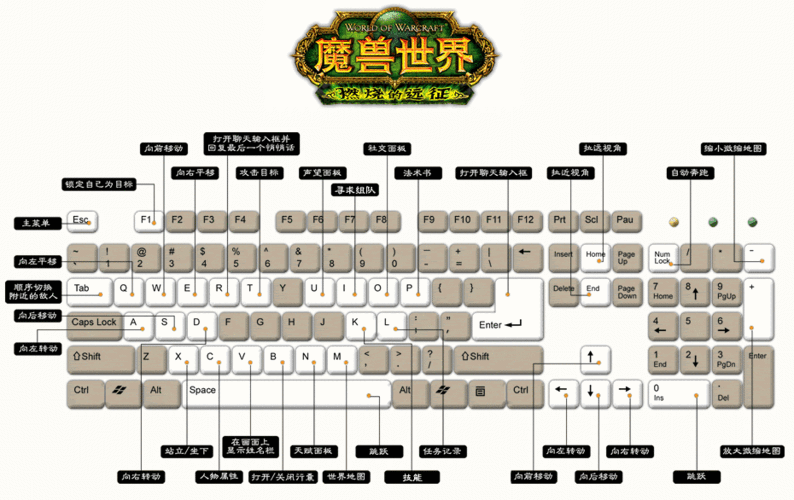 魔兽争霸快捷键怎么设置比较合理(魔兽争霸怎么设置快捷施法)-第5张图片-文史 魔兽争霸快捷键怎么设置比较合理(魔兽争霸怎么设置快捷施法)-第5张图片-文史