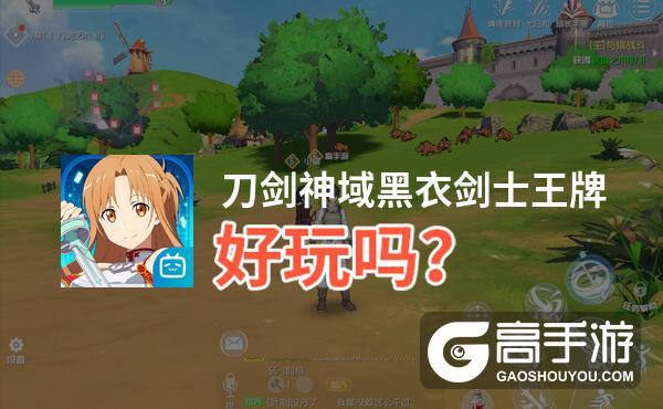 刀剑神域黑衣剑士停服了吗（刀剑神域之黑衣剑士停服）