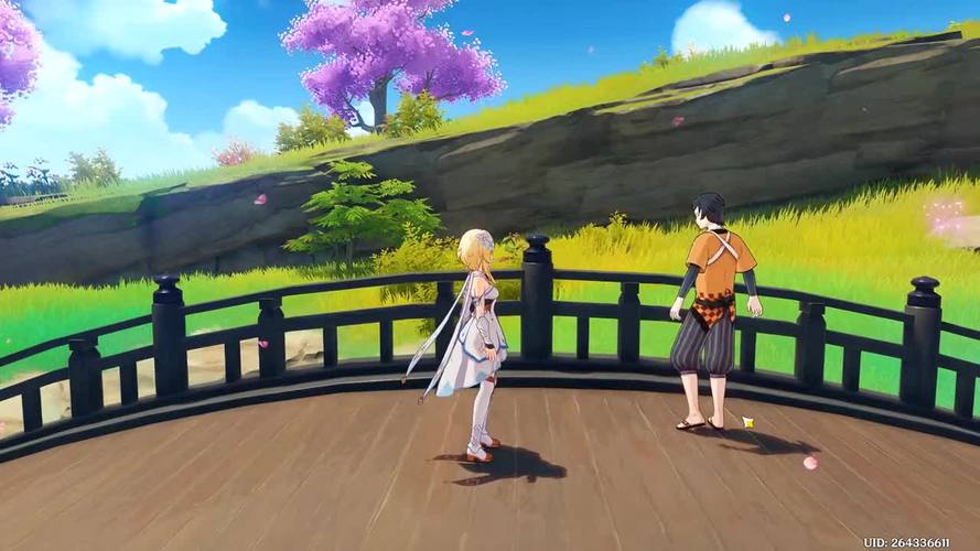 原神稻妻怎么去别的岛（原神稻妻怎么去其它岛）-第5张图片-文史