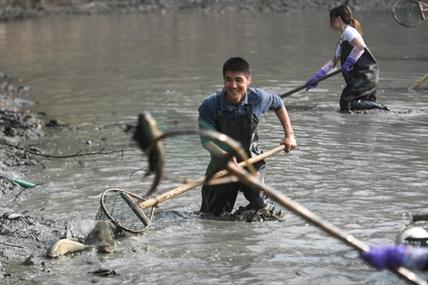 打鱼如何才能赢钱（打鱼有什么方法提高爆率）-第2张图片-文史