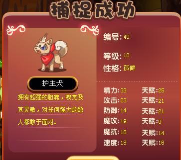 洛克王国乐园羁绊宠物怎么弄（洛克王国乐园宠物亲密度攻略）