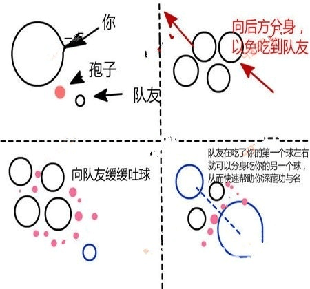 球球大作战游戏怎么玩(球球大作战游戏怎么玩视频教程)-第7张图片-文史 球球大作战游戏怎么玩(球球大作战游戏怎么玩视频教程)-第7张图片-文史
