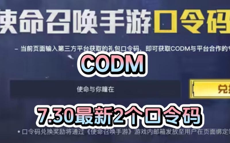 使命召唤手游口令码页面在哪,使命召唤手游里的口令码