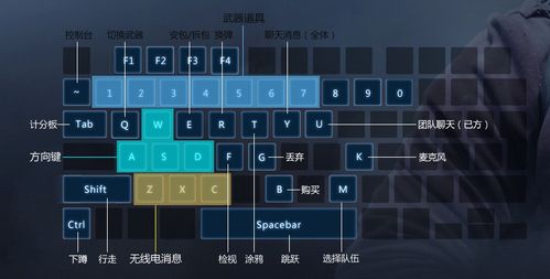 csgo开箱子怎么刮刮乐(csgo开箱子刮刮乐怎么设置)-第5张图片-文史 csgo开箱子怎么刮刮乐(csgo开箱子刮刮乐怎么设置)-第5张图片-文史