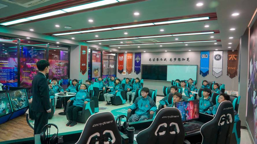 学电竞一年多少钱学费,985电竞专业大学-第5张图片-文史 学电竞一年多少钱学费,985电竞专业大学-第5张图片-文史