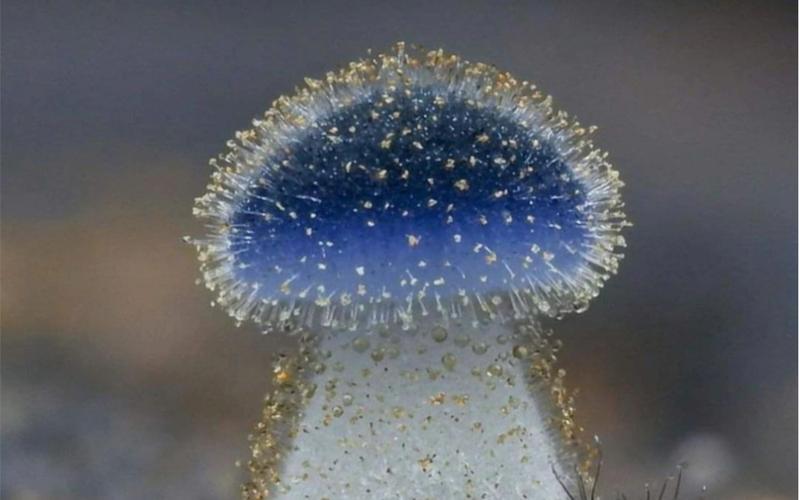 幽城幻剑录技能(幽城幻剑录技能修改)-第2张图片-文史 幽城幻剑录技能(幽城幻剑录技能修改)-第2张图片-文史