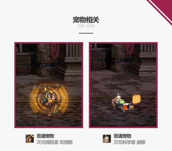 dnf宠物装备可以跨界吗,dnf宠物装备可以跨界嘛-第5张图片-文史