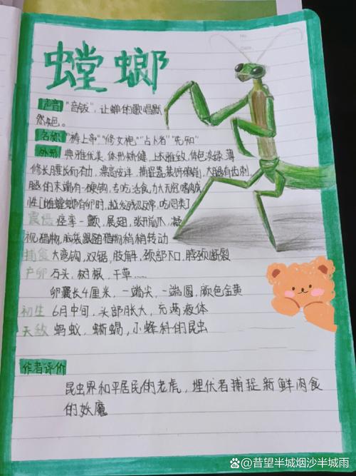 洛克王国螳螂宝宝技能表,洛克王国狂暴螳螂技能搭配-第1张图片-文史 洛克王国螳螂宝宝技能表,洛克王国狂暴螳螂技能搭配-第1张图片-文史