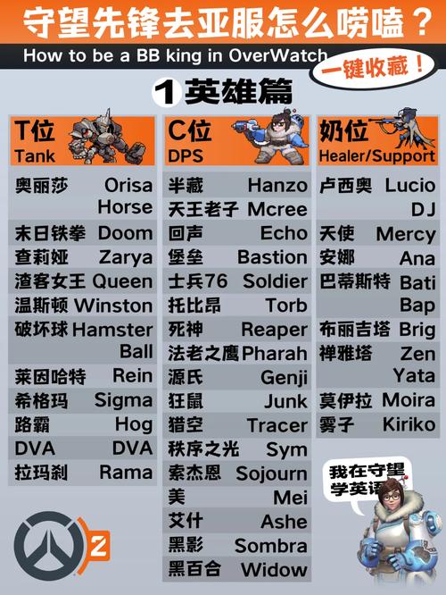 守望先锋英文版怎么设置(守望先锋如何调英文语音)-第4张图片-文史 守望先锋英文版怎么设置(守望先锋如何调英文语音)-第4张图片-文史