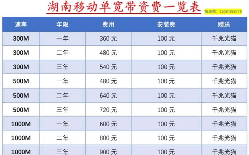安装宽带需要多少钱,移动上门安装宽带需要多少钱-第4张图片-文史 安装宽带需要多少钱,移动上门安装宽带需要多少钱-第4张图片-文史