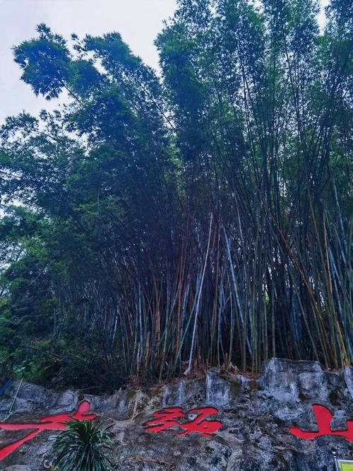 要塞十字军东征增强版技能的简单介绍-第1张图片-文史 要塞十字军东征增强版技能的简单介绍-第1张图片-文史