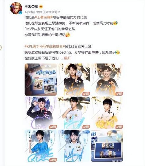 fmvp皮肤怎么选出来的(fmvp皮肤是怎么选出来的)-第5张图片-文史 fmvp皮肤怎么选出来的(fmvp皮肤是怎么选出来的)-第5张图片-文史