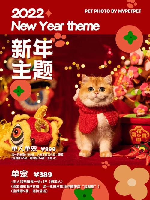 dnf春节宠物可以交易吗,dnf春节宠物可以在拍卖行买吗