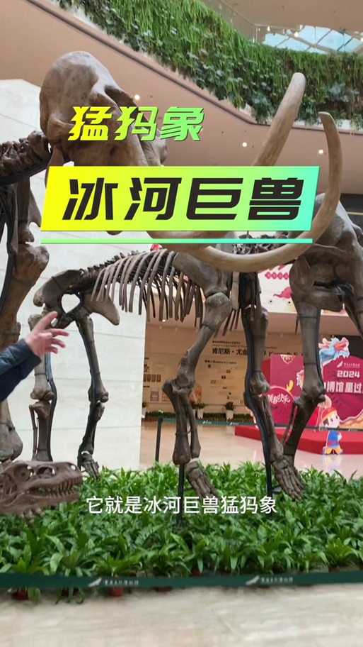 上古猛犸象技能配置(猛犸上怪兽长什么样)-第2张图片-文史 上古猛犸象技能配置(猛犸上怪兽长什么样)-第2张图片-文史