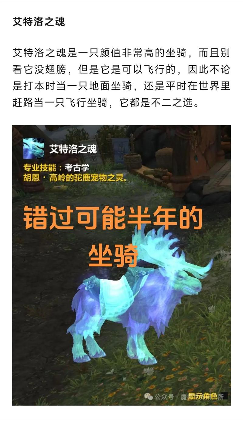 魔兽世界boss掉落坐骑有哪些(魔兽世界boss掉落坐骑有哪些装备)-第6张图片-文史 魔兽世界boss掉落坐骑有哪些(魔兽世界boss掉落坐骑有哪些装备)-第6张图片-文史