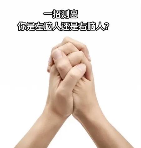 测脑龄要多少钱(测脑龄小程序)-第3张图片-文史 测脑龄要多少钱(测脑龄小程序)-第3张图片-文史