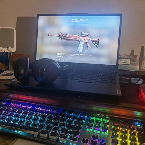 轻薄本能玩csgo吗(轻薄本可以玩吃鸡吗)-第3张图片-文史 轻薄本能玩csgo吗(轻薄本可以玩吃鸡吗)-第3张图片-文史