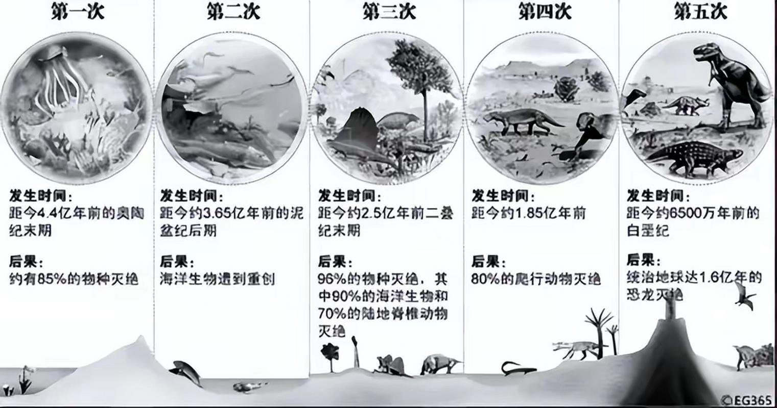二次灭绝什么武器厉害,二次灭绝什么职业和武器好-第4张图片-文史 二次灭绝什么武器厉害,二次灭绝什么职业和武器好-第4张图片-文史