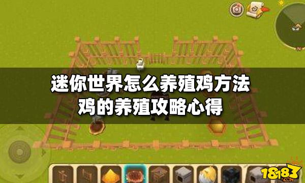 迷你世界最新版本鸡怎么吸引(迷你世界里面怎么吸引鸡)-第6张图片-文史 迷你世界最新版本鸡怎么吸引(迷你世界里面怎么吸引鸡)-第6张图片-文史
