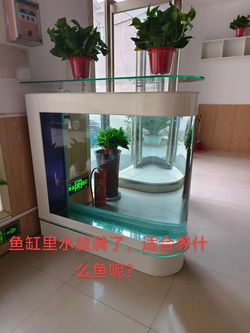 象鼻鱼多少钱一只,象鼻鱼多少钱一只图片-第8张图片-文史 象鼻鱼多少钱一只,象鼻鱼多少钱一只图片-第8张图片-文史