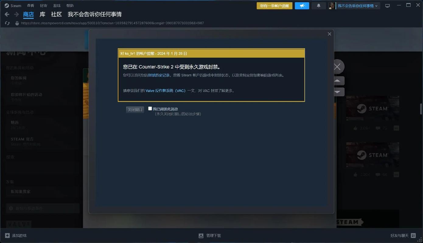 csgo国服和steam区别(csgo国服和世界服区别大吗)-第5张图片-文史 csgo国服和steam区别(csgo国服和世界服区别大吗)-第5张图片-文史