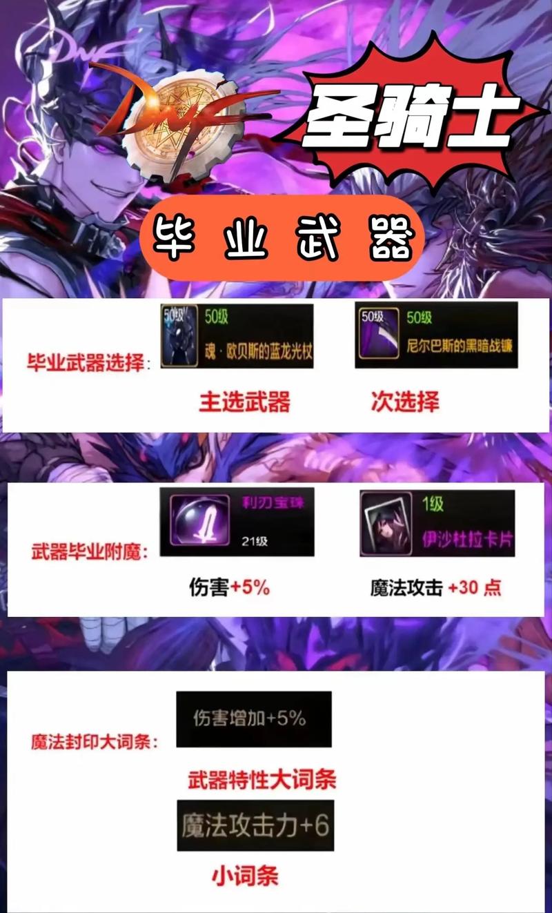dnf圣骑士用什么武器好（dnf圣骑士用什么武器好用）