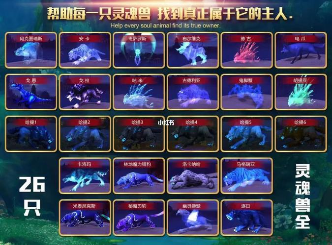 灵魂兽技能有什么区别（灵魂兽是什么天赋）