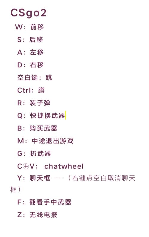 csgo躲猫猫怎么飞（csgo躲猫猫模式怎么操作）-第7张图片-文史