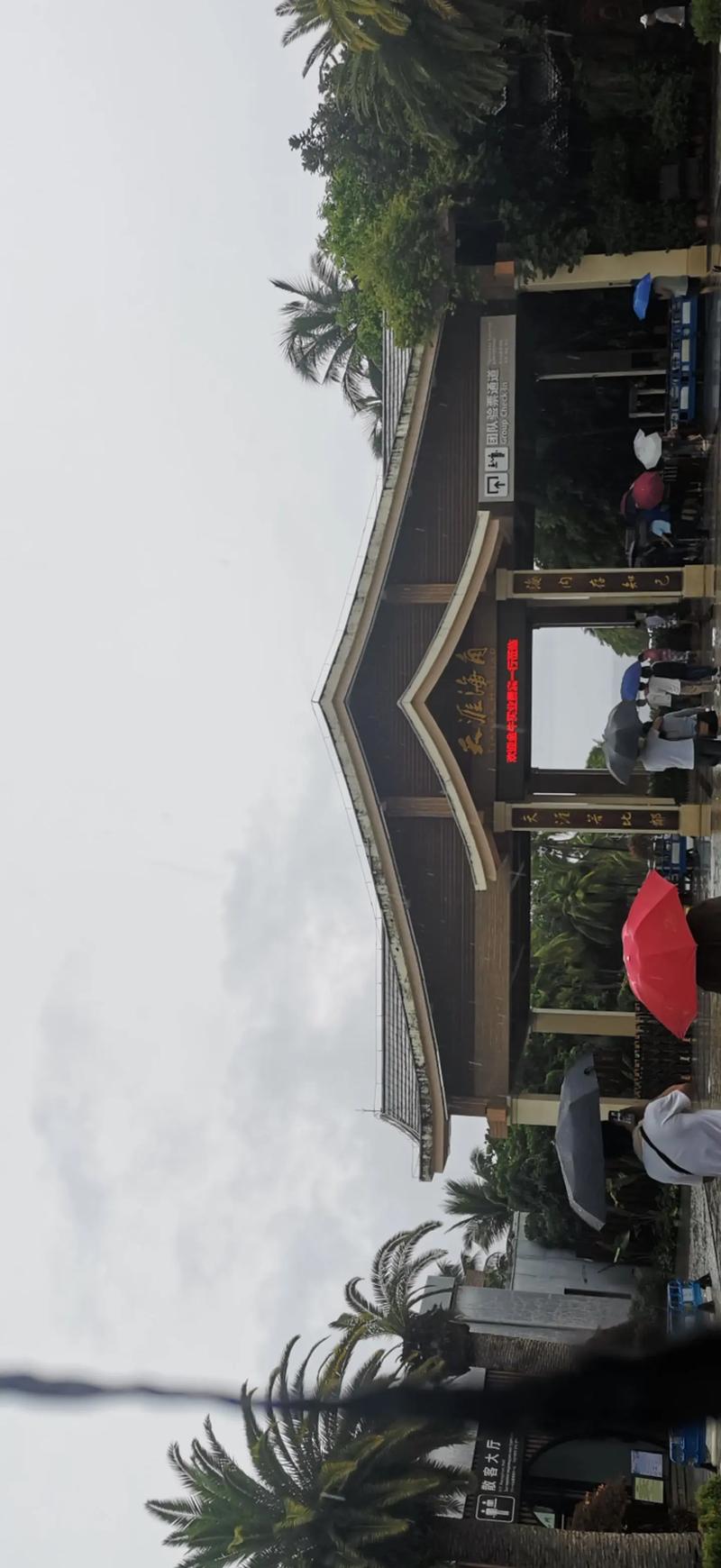 洛克王国迷之岛在哪里,洛克王国迷之岛有什么宠物-第3张图片-文史 洛克王国迷之岛在哪里,洛克王国迷之岛有什么宠物-第3张图片-文史