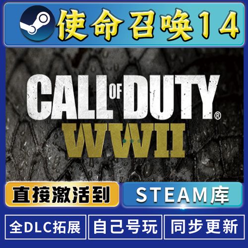 使命召唤14二战在steam叫什么（使命召唤14二战下载免安装中文硬盘版）