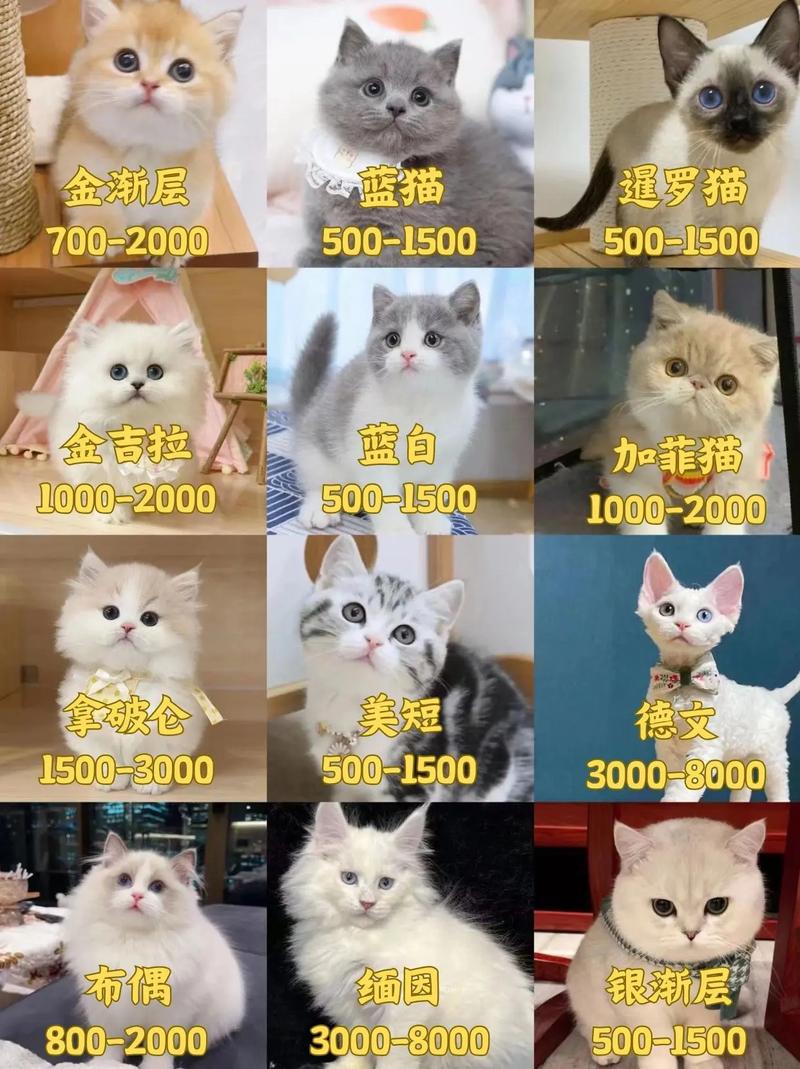 edg冠军皮肤哪个值得买,edg lpl冠军-第3张图片-文史 edg冠军皮肤哪个值得买,edg lpl冠军-第3张图片-文史