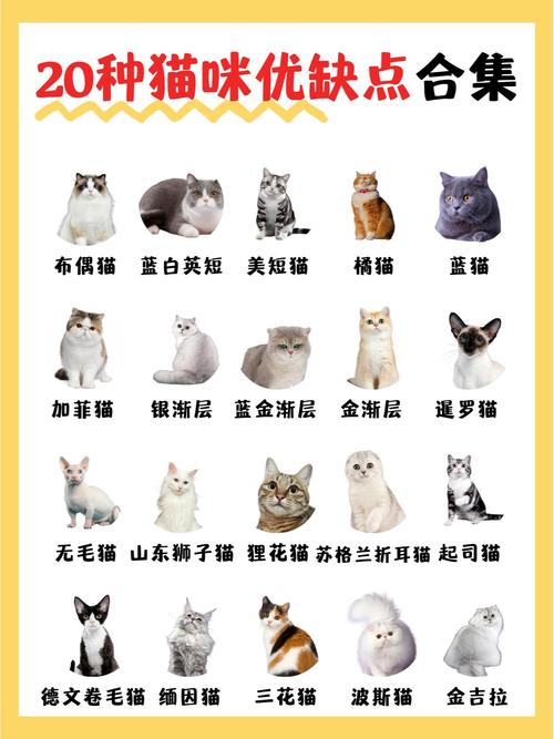 edg冠军皮肤哪个值得买,edg lpl冠军-第6张图片-文史 edg冠军皮肤哪个值得买,edg lpl冠军-第6张图片-文史
