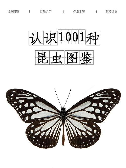 洛克王国若叶蝶值得入手吗,洛克王国若叶蝶值得买吗