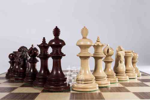 巫师棋和世界象棋有什么区别,象棋巫师实力-第6张图片-文史 巫师棋和世界象棋有什么区别,象棋巫师实力-第6张图片-文史