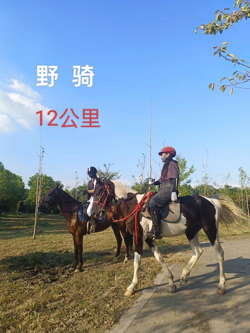 卡丁车多少钱一小时,卡丁车收费标准