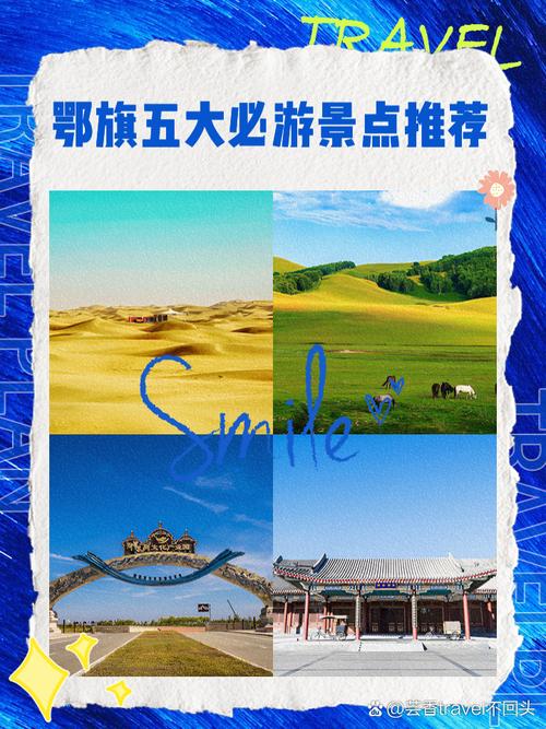 沙漠赛车叫什么,沙漠赛车的电影